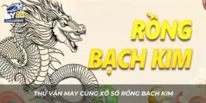 Thử vận may cùng xổ số Rồng Bạch Kim